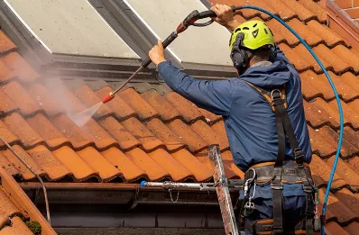 Démoussage et hydrofuge de toiture à Thésée